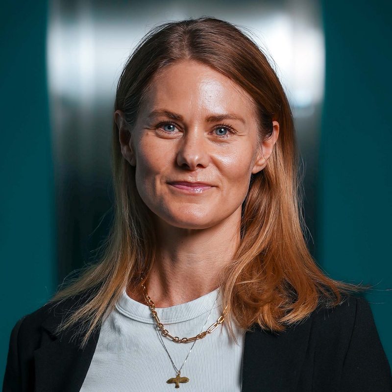 Ylva Lindgren @ Web Manuals